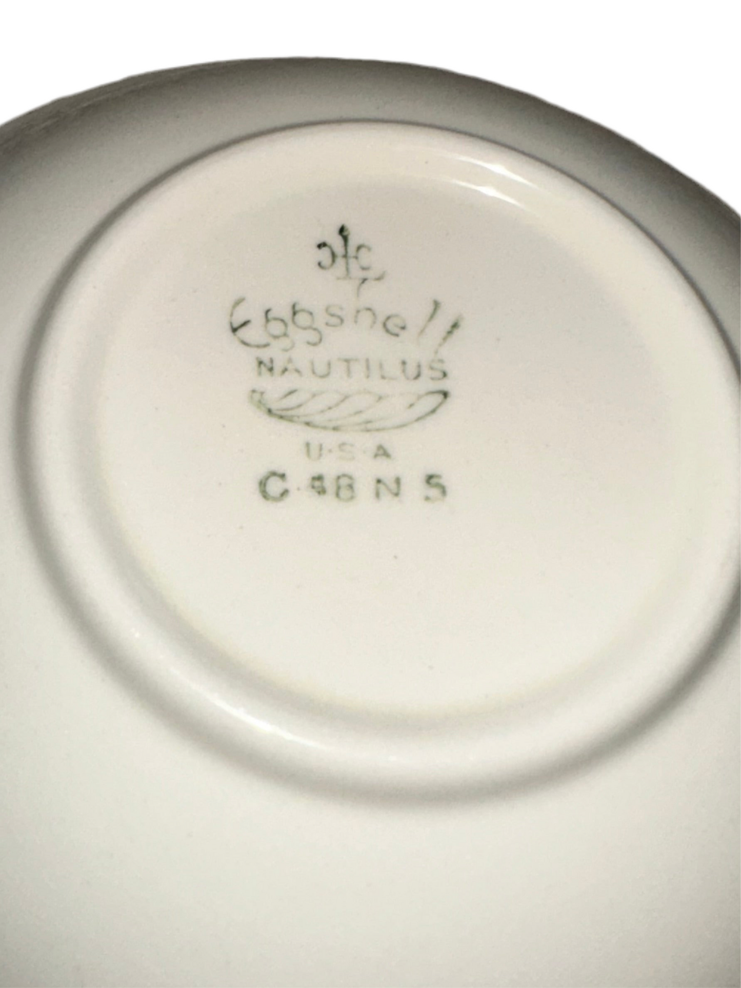 Eggshell Nautilus Floral Jewelry Catch All Dish