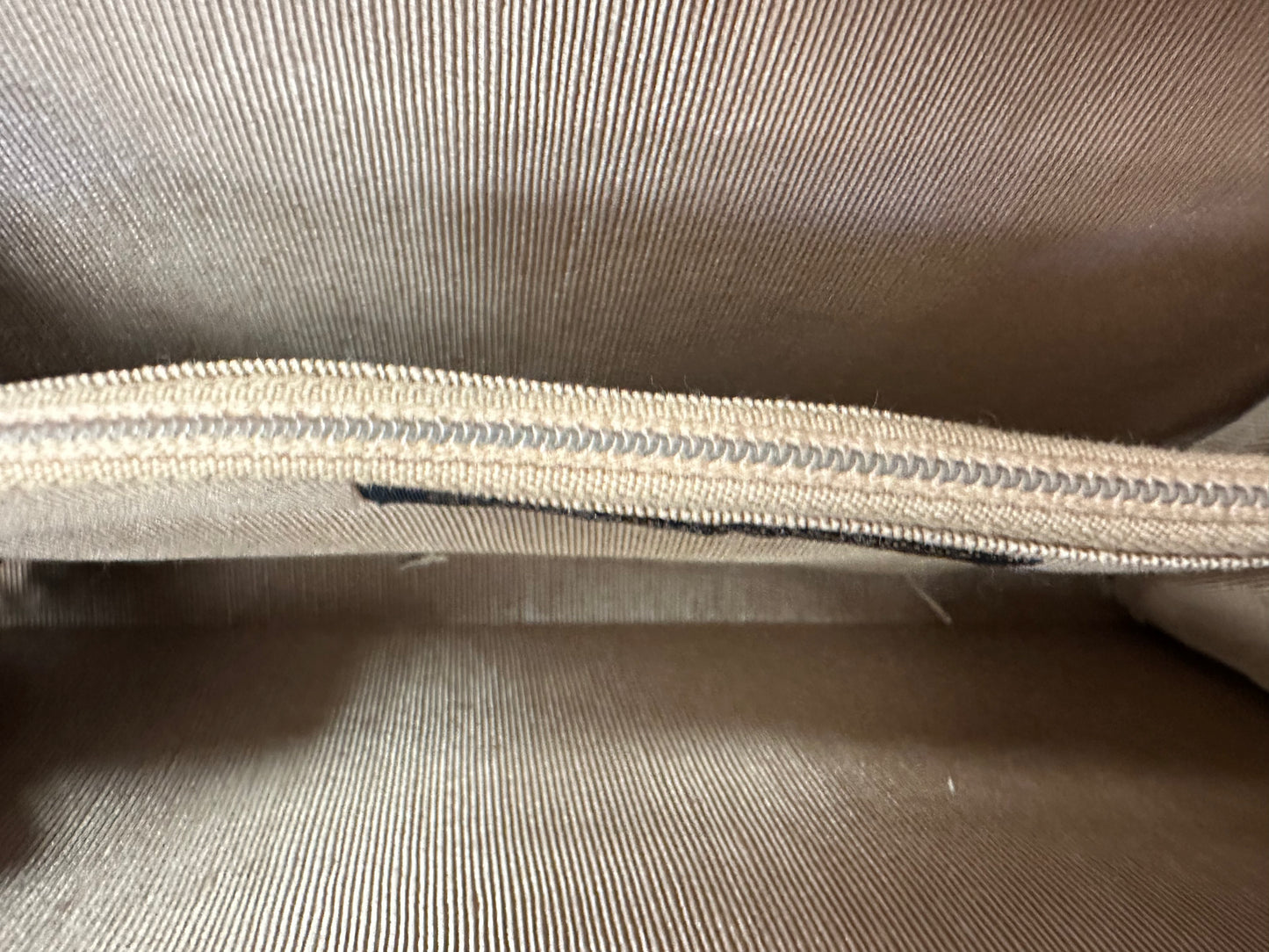 Vintage Snakeskin clutch